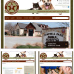 P-Web-Animal-Hospital-Website